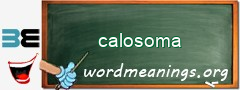 WordMeaning blackboard for calosoma